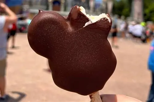 Mickey Premium Bar в Диснейленде