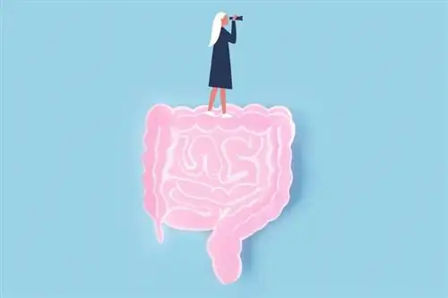 Женщина, стоящая на толстой кишке и кишечнике, смотрит наружу