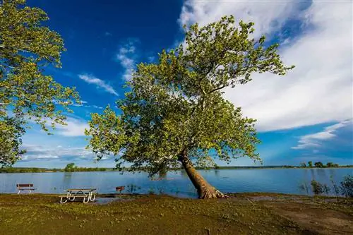 Кемпинг в государственном парке Уэстон-Бенд в Уэстоне, штат Миссури.