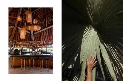 Две фотографии из Virgin Gorda, одна из которых показывает бар Rosewood Little Dix Bay, а другая показывает руку на пальмовом листе.