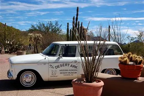 Музей пустыни Аризона-Сонора