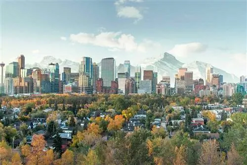 Горизонт центра города Калгари, Альберта, Канада