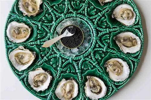 Устрицы и икра от Island Creek Oysters