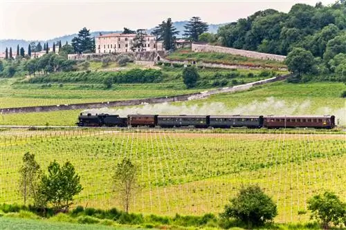 Treno a пара в виноградники Franciacorta, провинция Брешиа, Италия, Европа