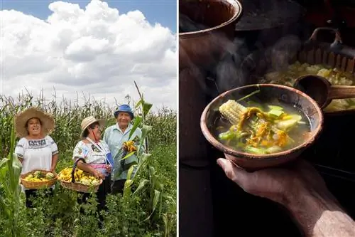 Две фотографии, на одной из которых семья Бальтазар собирает цветы тыквы, а на другой - суп, приготовленный из собранных ингредиентов.
