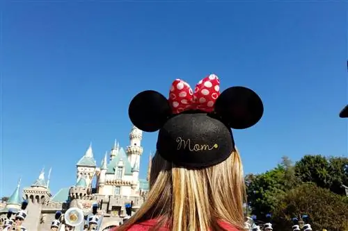 Этот простой лайфхак Disney для родителей изменит всю вашу поездку