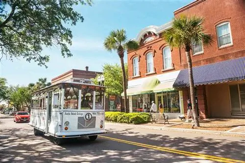 Экскурсия на троллейбусе Fernandina Beach проезжает по главной улице острова Амелия во Флориде