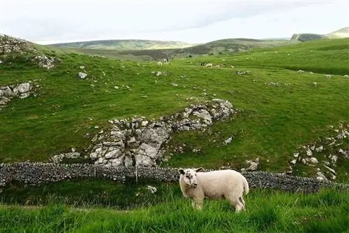 Пик-Дистрикт Англии с очаровательными садами, загородными домами и суровыми ландшафтами