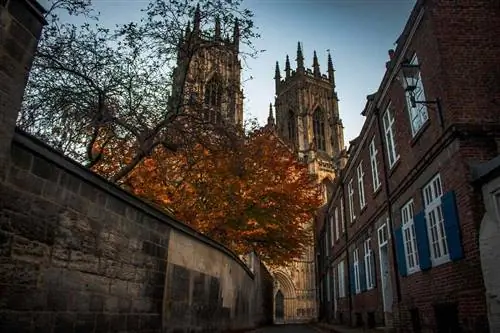 Вид на Йоркский собор (собор) снизу во время падения