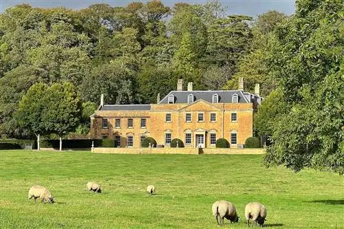 Овцы на лугу за Ньютом в Сомерсете