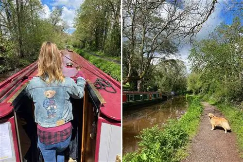 Две фотографии на канале в Уэльсе, на одной изображена женщина на барже, а на другой - собака на берегу канала.