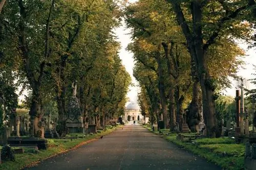 Бромптонское кладбище в Лондоне