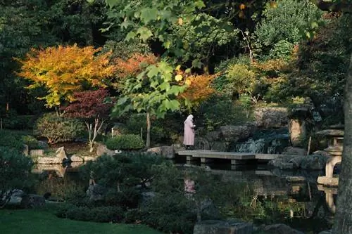 Киотский сад в Голландском парке