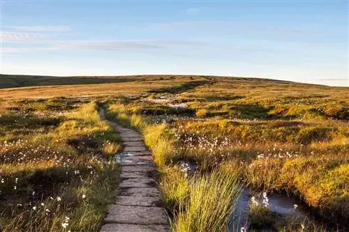 10 самых красивых пешеходных дорожек в Великобритании - с видом на море, заснеженные вершины и мистические долины