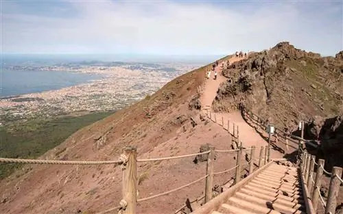 Прогулка по кратеру Везувия с видом на Неаполь.