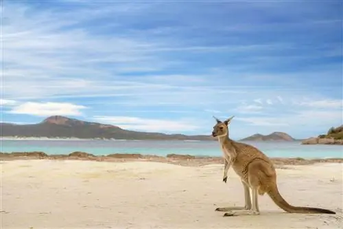 Согласно новому отчету, это лучшие пляжные направления в мире