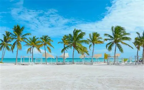 пляж в доминикане