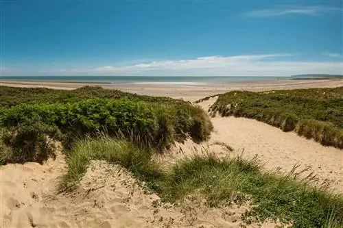 Дюны Камбер-Сэндс у Ла-Манша