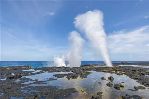 Алофаага Блоухолс, Самоа