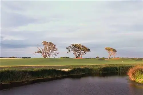Сцена курортного отеля Kiawah Island на Ocean Course на 3-м фервее