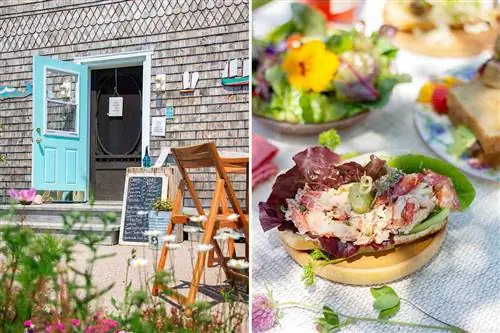 Вход и блюда из S alty Rose’s & the Periwinkle Cafe на острове Кейп-Бретон.