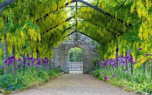 Laburnum Walk в Cowdray House