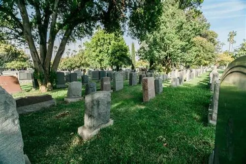 Надгробия на кладбище Hollywood Forever