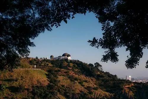 Обсерватория Гриффита в обрамлении ветки дерева