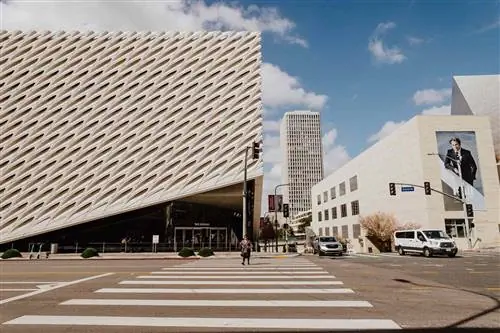 Внешний вид Широкого