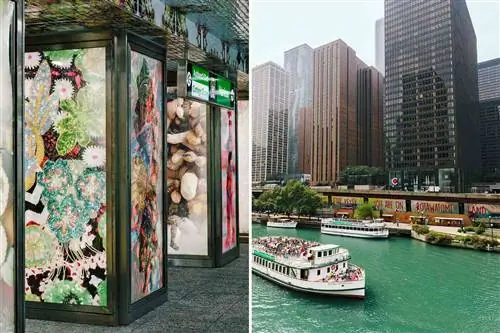 Чикагская публичная арт-сцена не похожа ни на что другое - вот что посмотреть