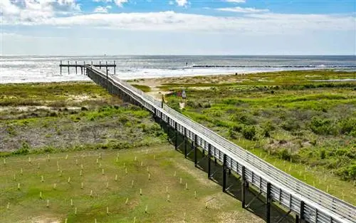 Длинный дощатый настил, тянущийся по траве к воде