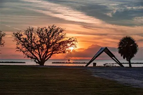 Деревья и место для пикника, обрамляющие закат на пляже