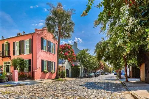 Что вы можете получить за 20 долларов в 17 направлениях по США