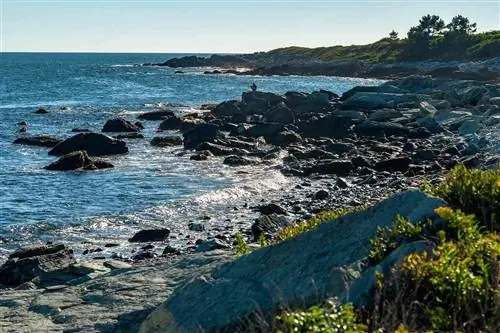 Рыбак ловит рыбу со скал в Сачуест-Пойнт, Род-Айленд.