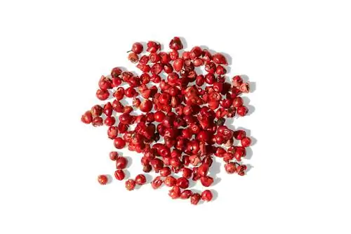 Куча розового перца от Spicewalla, сфотографированная на белом фоне