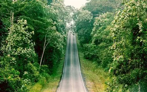 Skyline Drive в национальном парке Шенандоа