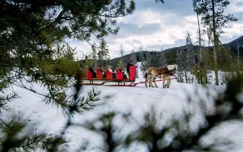 Катание на санях на курорте Keystone