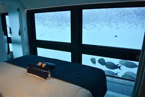 Кровать в рифовом номере из круиза Journey Beyond Cruise Whit Sundays.