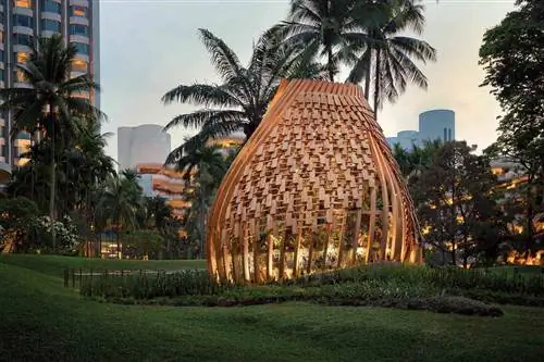 Орхидея на территории отеля Shangri-La Singapore