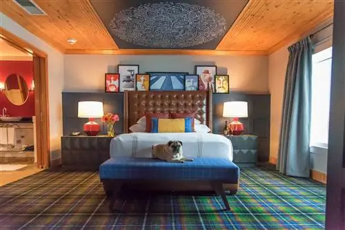 Beatles Suite в The Edgewater в Сиэтле