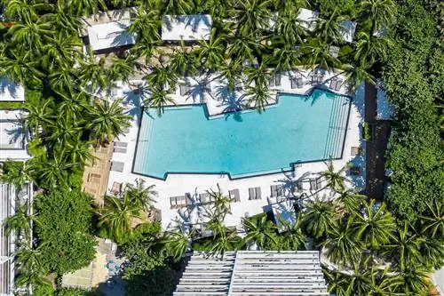 Вид с воздуха на бассейн на Южном пляже W