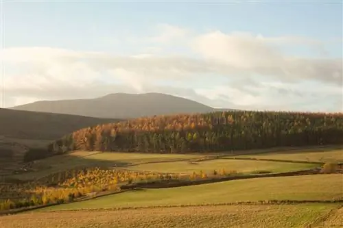 Ландшафт национального парка Кэрнгормс осенью