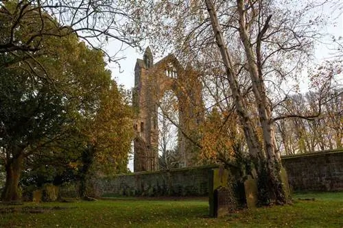 Национальный парк Норт-Йорк-Мурс