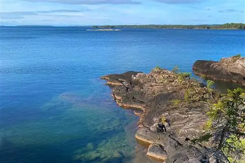 Вид на воду с прогулки по лесу