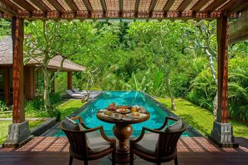 Бассейн в Mandapa, Ritz-Carlton Reserve