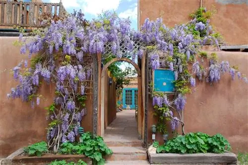 Вход с цветами в Inn of the Five Graces