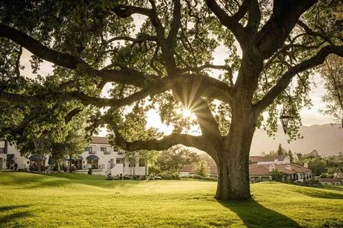 Внешний вид отеля Ojai Valley Inn