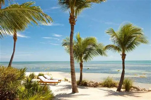 Пляж в курортном спа-отеле Little Palm Island