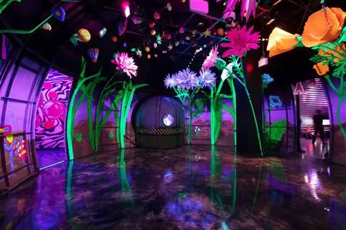 Этот психоделический продуктовый магазин в Лас-Вегасе – захватывающее искусство