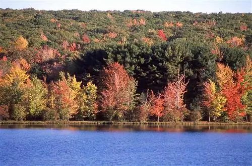 Береговая линия озера осенние краски Rocky Gap State Park Flintstone Maryland